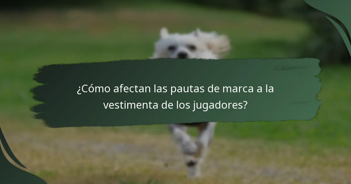 ¿Cómo afectan las pautas de marca a la vestimenta de los jugadores?