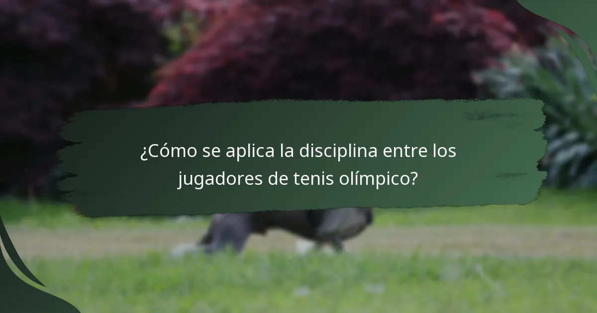 ¿Cómo se aplica la disciplina entre los jugadores de tenis olímpico?