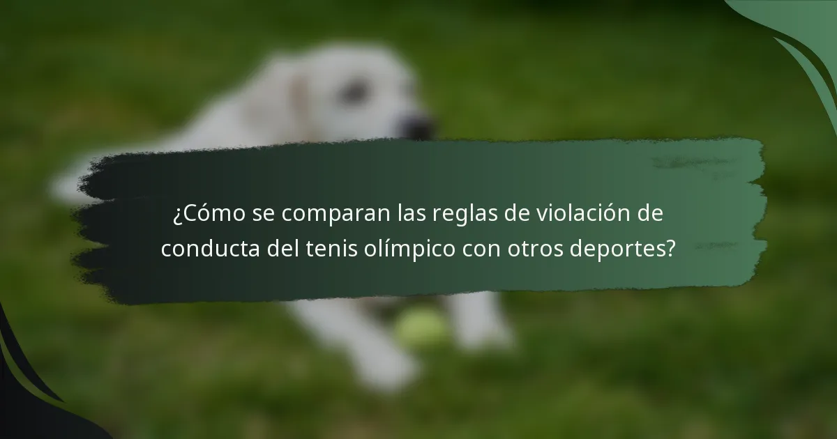 ¿Cómo se comparan las reglas de violación de conducta del tenis olímpico con otros deportes?