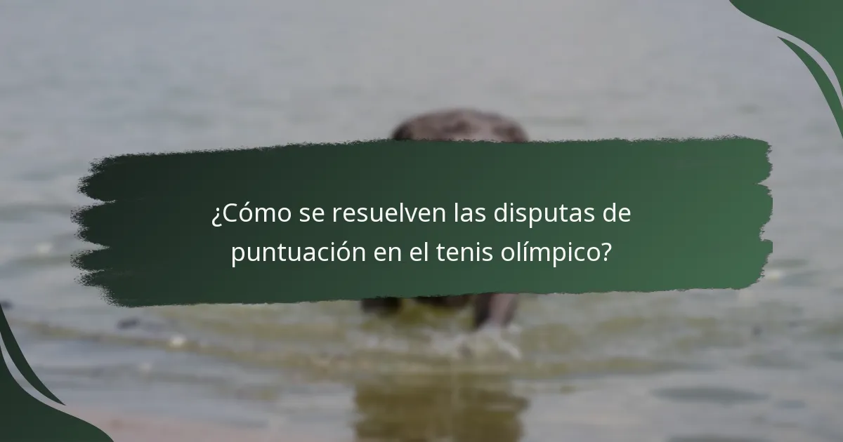 ¿Cómo se resuelven las disputas de puntuación en el tenis olímpico?