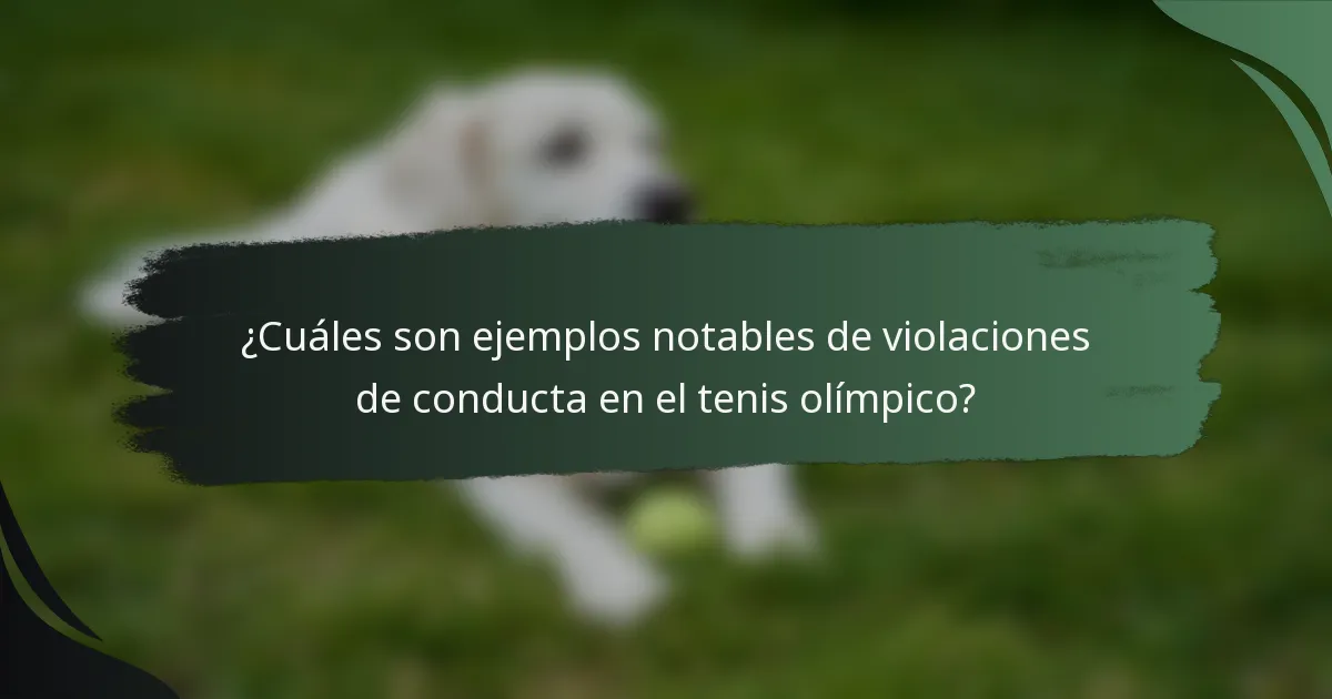 ¿Cuáles son ejemplos notables de violaciones de conducta en el tenis olímpico?