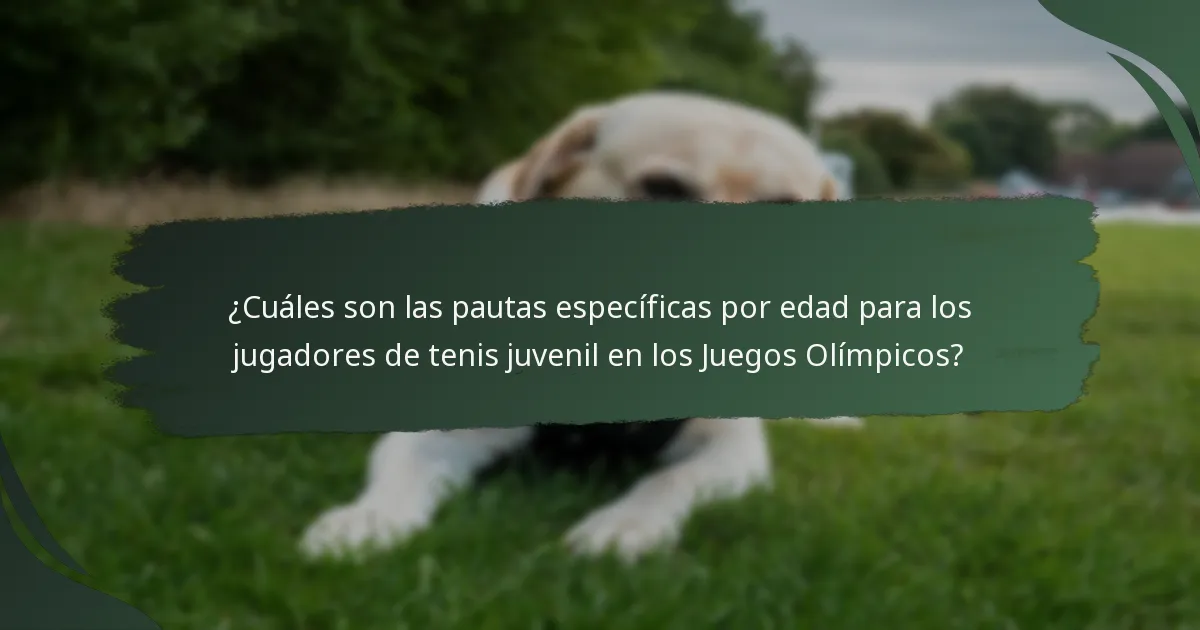 ¿Cuáles son las pautas específicas por edad para los jugadores de tenis juvenil en los Juegos Olímpicos?