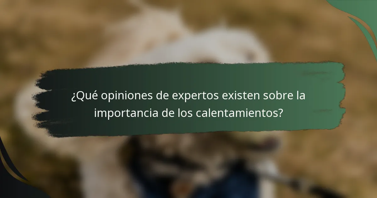 ¿Qué opiniones de expertos existen sobre la importancia de los calentamientos?